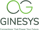 Ginesys